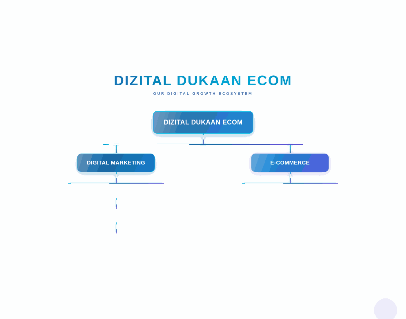 Dizital Dukaan Ecom | E-commerce & Digital Marketing Agency 16 dizital dukaan ecom animation slow